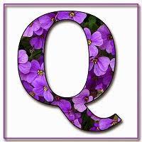 Qasim786 APK icon